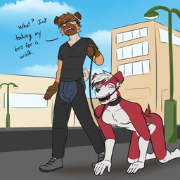 all_fours anthro ball_gag bdsm blue_sky brown_hair building chaps clothed clothed/nude clothing cloud collar collar_only convenient_censorship crawling crotchless_chaps curled_tail day dialogue dominant dominant_anthro dominant_male duo exhibitionism eyewear footwear gag hair holding_leash holding_object leash leashed_collar low-angle_view male male/male nipples nude nude_anthro nude_male only_one_nude open_mouth petplay pink_sclera public public_nudity roleplay shirt shoes sidewalk sky street street_lamp submissive submissive_anthro submissive_male tail teeth text topwear walking white_hair fuze nintendo pokemon ricky_(fuze) rocky_(fuze) generation_7_pokemon lycanroc midnight_lycanroc pokemon_(species) rockruff 1:1 english_text hi_res brother_(lore) brothers_(lore) incest_(lore) sibling_(lore)