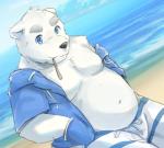 anthro beach belly bottomwear bulge clothed clothing deep_navel fur male moobs navel open_clothing open_shirt open_topwear overweight overweight_anthro overweight_male seaside shirt shorts solo topwear water white_body white_fur tobenaibuka utau shirane_kan bear mammal polar_bear ursine 2018 hi_res