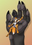 anthro duo macro male micro paws zhekathewolf full-length_portrait hi_res portrait