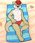 anthro beach beach_blanket beach_towel blue_eyes bulge clothing detailed_background eyewear fur glasses hair highlights_(coloring) light looking_at_viewer male multicolored_body multicolored_fur red_clothing red_hair red_swimwear round_glasses sand shell smile smiling_at_viewer smirk smirking_at_viewer solo swimwear tail tan_body tan_fur towel two_tone_body two_tone_fur wearing_glasses white_body white_fur nimbsea aka_the_otter asterozoan echinoderm mammal marine mustelid otter starfish 4:5 absurd_res hi_res lighting shaded