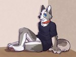 anthro arm_tuft black_nose blue_clothing blue_eyes blue_topwear bottomless closed_smile clothed clothing crotch_tuft dark_topwear elbow_tuft featureless_crotch fur glistening glistening_eyes glistening_nose grey_body grey_fur grey_tail leaning leaning_backward looking_at_viewer male mouth_closed pawpads pink_pawpads side_view sitting smile solo tail topwear tuft unsigned white_body white_fur asnnonaka lenny_(asnnonaka) canid canine canis domestic_dog mammal 4:3 full-length_portrait hi_res portrait