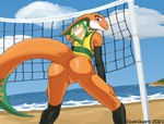 anthro anus athletic athletic_anthro athletic_female australia australian beach blush bottomless bottomless_female bottomwear claws clothed clothing feet female flat_chested genitals legwear looking_at_viewer looking_back mascot net orange_body orange_scales presenting purple_eyes pussy sand scales seaside solo sport sports_uniform sportswear stockings uniform volleyball volleyball_net duskguard 2020_tokyo_olympics olympics royal_australian_mint lizzie_(paralympics_australia) agamid frilled_lizard lizard reptile scalie 2021 digital_media_(artwork) hi_res shaded