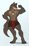 abs anthro biceps brown_body brown_fur clothed clothing eyebrows flexing flexing_bicep fur jewelry male muscular muscular_anthro muscular_male navel nipples pecs pendant shirtless shirtless_anthro shirtless_male topless ghosty_cult far_beyond_the_world_(series) erof_(far_beyond_the_world) canid canine canis mammal wolf absurd_res hi_res