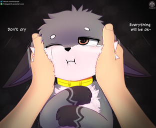 anthro blush bodily_fluids collar crying fur grey_body grey_fur humanoid_hands male solo squishing_cheeks tears text senz iradeon absurd_res hi_res