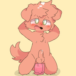 animal_dildo animal_sex_toy anthro bodily_fluids butt canine_dildo collar cum cum_inside dildo femboy genital_fluids male sex sex_toy solo young young_anthro young_male mrdreams spok_(character) canid canine canis domestic_dog mammal 1:1