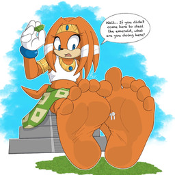 5_toes barefoot clothed clothing extreme_size_difference feet female foot_fetish gloves handwear macro master_emerald open_mouth orange_body size_difference soles text toes burtreex sega sonic_adventure sonic_the_hedgehog_(series) tikal_the_echidna echidna mammal monotreme 1:1 english_text hi_res