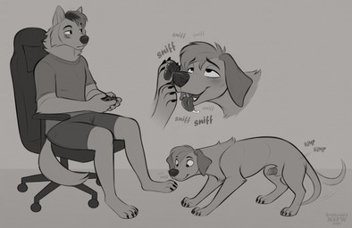 4_toes animal_genitalia animal_penis anthro anthro_on_feral balls bestiality canine_genitalia canine_penis digitigrade distracted duo erection feet feral foot_fetish foot_focus foot_sniffing gaming genitals humping lipsticking male male/male paws pelvic_thrust penis sheath sniffing tail tail_motion tailwag toes browniesnsfw canid canine canis domestic_dog mammal wolf absurd_res hi_res