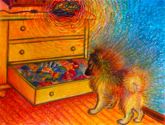 ambiguous_gender clothing curled_tail digitigrade drawer dresser feral fluffy fluffy_tail footwear fur furniture lamp paws socks tail ink-the-artist canid canine canis domestic_dog mammal 2020 hi_res