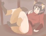 black_hair blush brown_body brown_fur butt clothed clothing confusion female fur hair lying open_mouth pawpads red_clothing solo species_transformation transformation whiskers roina canid canine fox human mammal 2018