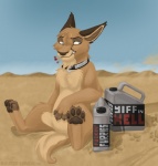 ambiguous_gender caption chest_tuft claws collar desert feet feral footprint fur gasoline grey_eyes hindpaw matches outside pawprint paws sitting sky solo tail tuft molotov-caracal yiff_in_hell molotov_(molotov-caracal) caracal caracal_(genus) felid feline mammal 2006 meme