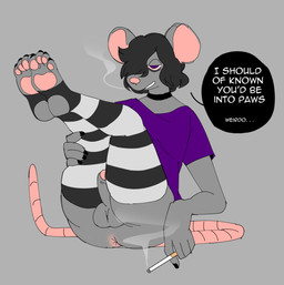 4_toes 5_fingers anthro anus balls black_hair black_nails bottomless butt choker cigarette clothed clothing colored_nails erection feet femboy fingers foot_fetish footwear fur genitals grey_balls grey_body grey_fur grey_penis hair hair_over_eye hindpaw humanoid_genitalia humanoid_hands humanoid_penis jewelry leggings legwear male nails necklace one_eye_obstructed pattern_clothing pattern_footwear pattern_legwear pattern_socks pawpads paws penis presenting purple_eyes shirt smoke smoking socks soles solo stirrup_socks striped_clothing striped_footwear striped_legwear striped_socks stripes text thigh_highs toes topwear crowdud3 rat_boy_(crowdud3) mammal murid murine rat rodent english_text hi_res