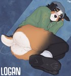 anthro anus backsack balls beanie big_butt black_body black_fur black_nose blush bodily_fluids bottomless bottomless_anthro bottomless_male butt clothed clothed_anthro clothed_male clothing cum cum_in_ass cum_inside docked_tail floppy_ears footwear freckles fur genital_fluids genitals green_clothing green_eyes green_hoodie green_topwear grey_beanie grey_clothing grey_hat grey_headwear hat headgear headwear heart_(marking) heart_eyes heart_freckles heart_pupils heart_symbol hoodie looking_at_viewer male male_anthro markings multicolored_body multicolored_fur nervous open_mouth orange_body orange_fur plantigrade presenting presenting_anus presenting_hindquarters raised_tail scut_tail shoes short_tail shy socks solo sweat tail tail_anus tail_motion tailwag tan_body tan_fur tears tears_of_pleasure thick_thighs topwear whining white_body white_fur cerberussenn logan_harper_(cerberussenn) bernese_mountain_dog canid canine canis domestic_dog herding_dog mammal mixed_breed molosser mountain_dog pastoral_dog swiss_mountain_dog welsh_corgi absurd_res hi_res