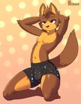 boxer_briefs bulge clothed clothing hands_behind_head kneeling male mostly_nude_male nipples pose solo underwear underwear_only renabu copper_(renabu) canid canine mammal hi_res pinup