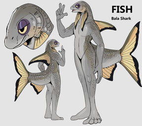 5_fingers anthro dorsal_frill featureless_crotch fingers forked_tail frill_(anatomy) gills grey_background grey_body grey_scales looking_at_viewer male narrowed_eyes nude open_mouth plant scales simple_background solo standing tail unsigned unusual_anatomy unusual_tail swampjaws aquatic bala_shark cyprinid cypriniform fish absurd_res hi_res model_sheet