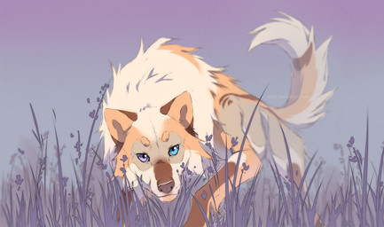 ambiguous_gender blue_eyes brown_markings brown_nose cheek_tuft facial_tuft feral fur grass heterochromia looking_at_viewer markings multicolored_body multicolored_fur nude orange_markings plant purple_eyes snout solo standing tail tan_body tan_fur tuft azzai canid canine canis mammal wolf 2018 colored colored_sketch digital_drawing_(artwork) digital_media_(artwork) shaded simple_shading sketch