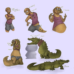 anthro big_tail claws crossed_arms feral green_body human_to_feral identity_death intelligence_loss male overweight sharp_teeth solo species_transformation speech_bubble surprised tail teeth text transformation transformation_sequence ikaro crocodile crocodilian human mammal reptile scalie 1:1 absurd_res english_text hi_res sequence