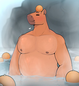 anthro blush eyes_closed food fruit heart_symbol hot_spring male nipples orange_(fruit) overweight overweight_male pecs plant rock smile solo vapor water almy capybara caviid mammal rodent absurd_res hi_res