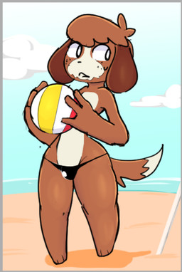 anthro ball beach biped black_nose bodily_fluids border brown_body brown_fur bulge clothed clothing countershade_face countershade_fur countershade_torso countershading day dipstick_tail floppy_ears fur g-string grey_border holding_ball holding_object looking_aside lop_ears male markings multicolored_body multicolored_fur outside solo sweat tail tail_markings two_tone_body two_tone_fur underwear white_body white_countershading white_fur white_markings neko3240 animal_crossing nintendo digby_(animal_crossing) canid canine canis domestic_dog mammal shih_tzu toy_dog 2026