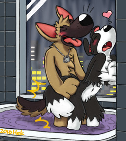 all_fours anthro bath black_body black_fur black_tail blush brown_body brown_fur brown_tail city detailed_background dipstick_tail dog_tags doggystyle duo eyes_closed female from_behind_position fur heart_symbol jewelry male male/female markings moan multicolored_tail navel necklace night open_mouth sex tail tail_markings tongue two_tone_tail white_body white_fur white_tail window hek border_collie canid canine canis collie domestic_dog german_shepherd herding_dog mammal pastoral_dog sheepdog 2016 hi_res signature