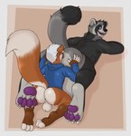 anthro anthro_pred anthro_prey anus balls big_balls black_body black_clothing black_fur black_topwear blue_clothing blue_topwear bottomless clothed clothing duo fur genitals grey_balls grey_body grey_fur hair head_tuft huge_balls imminent_anal_vore imminent_vore looking_back lying male male_pred male_prey on_front open_mouth open_smile orange_body orange_fur pawpads purple_anus purple_eyes purple_pawpads simple_background smile topwear tuft white_balls white_body white_fur white_hair rokie38 fill_(furryratchet) james_(verne_nicolaio) canid canine mammal raccoon_dog rodent sciurid tanuki tree_squirrel absurd_res hi_res