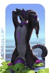 anthro beard big_penis braided_beard collar facial_hair flower fur genitals knot light male penis plant pose solo sunlight tail water water_droplets water_lily wet wet_body wet_fur sadnicole raizen_t'laaren sergal hi_res pinup