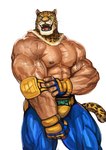 abs animal_mask biceps big_muscles clothed clothing flexing for_a_head luchador male mask muscular muscular_male nipples pecs presenting solo vein veiny_muscles wrestler traver009 bandai_namco tekken tekken_7 king_(tekken) animal_head animal_humanoid felid humanoid jaguar mammal pantherine absurd_res hi_res