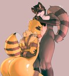 antennae_(anatomy) antennae_grab anthro balls bdsm big_butt bodily_fluids bondage bound brown_body brown_fur bubble_butt butt countershade_face countershade_neck countershade_torso countershading dominant dominant_male duo femboy fur gag gagged genitals grabbing huge_butt insect_wings male male/male markings oral presenting presenting_hindquarters restraints rope rope_bondage striped_markings striped_tail stripes submissive submissive_male sweat tail tail_markings white_body white_countershading white_fur wings yellow_body yellow_fur xlyuz arven_(xlyuz) xlog_(xlyuz) arthropod bee hymenopteran insect mammal procyonid raccoon absurd_res hi_res