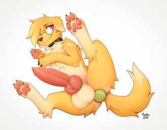 animal_genitalia animal_penis ball ball_in_ass balls big_balls big_penis blonde_hair canine_genitalia canine_penis chest_tuft collar eyewear eyewear_only feet feral feral_penetrated fur genitals glasses glasses_only hair huge_penis male male_penetrated nude object_in_ass pawpads penetration penis simple_background solo tennis_ball tuft wearing_glasses yellow_body yellow_fur marblesoda bird_dog canid canine canis domestic_dog golden_retriever hunting_dog mammal retriever hi_res