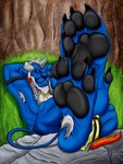 1_horn 5_toes anklet anklet_only anthro armband armpit_hair beard black_armband black_claws black_nose black_pawpads black_sclera blue_body blue_ears blue_fur blue_tail body_hair braided_hair broken_horn claws cracks facial_hair feet feet_on_rock foot_focus fur grass hair hands_behind_head horn jewelry lying lying_on_ground male mane multicolored_body multicolored_fur on_ground orange_eyes paintbrush_tail pawpads paws plant prick_ears rock short_hair soles solo tail toe_claws toes two_tone_body two_tone_fur white_beard white_body white_facial_hair white_fur white_horn white_mane wrinkled_feet wrinkles wuffeet final_fantasy final_fantasy_x square_enix kimahri felid mammal ronso 2020 3:4 hi_res