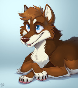 black_claws blue_eyes brown_body brown_eyebrows brown_fur brown_hair brown_nose cheek_tuft claws eyebrows facial_tuft fangs feral fur hair looking_up lying male nude on_front open_mouth pawpads paws pink_pawpads short_hair simple_background smile snout solo teeth toony tuft white_body white_fur mimi-fox canid canine canis mammal wolf 2022 colored colored_sketch digital_drawing_(artwork) digital_media_(artwork) hi_res shaded sketch