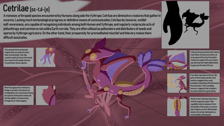 4_legs 6_limbs ambiguous_gender animal_genitalia chart cloaca detailed_background feral frill_(anatomy) fur genitals head_crest head_frill logo membrane_(anatomy) membranous_wings multi_limb multi_tongue multicolored_body orange_eyes pink_body pink_fur segmented_legs size_chart size_difference solo species_sheet tail tail_frill text tongue tongue_out unusual_anatomy unusual_genitalia wings pricklypastor_(artist) alien arthropod cetrilae 16:9 2026 artist_logo digital_drawing_(artwork) digital_media_(artwork) english_text full-length_portrait hi_res international_phonetic_alphabet portrait signature widescreen
