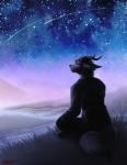 anthro clothed clothing fur grass hair horn male night outside plant red_eyes river sad shooting_star sky solo star starry_sky conditional_dnp ratte legacy_(ratte) yukikiba canid canine highland_psycrhen hybrid mammal psycrhen 2015 digital_media_(artwork)