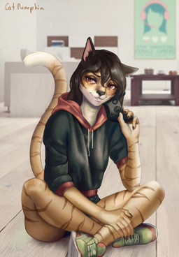 adolescent anthro bottomwear brown_hair clothed clothing coffee_table controller detailed_background female floor footwear fully_clothed fur furniture game_controller hair holding_controller holding_game_controller holding_object hoodie inside living_room looking_at_viewer lotus_pose orange_body orange_fur poster red_eyes shoes shorts sitting smile sneakers sofa solo table topwear wood wood_floor young young_female catpumpkin domestic_cat felid feline felis mammal absurd_res hi_res