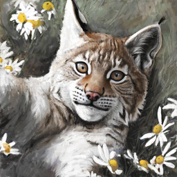 black_markings brown_body brown_fur daisy_(flower) feral flower fur grass looking_at_viewer lying markings multicolored_body multicolored_fur on_back on_grass on_ground pink_nose plant quadruped solo tan_body tan_fur whisker_spots whiskers white_body white_fur yellow_eyes renum63 felid feline lynx mammal 1:1 2013