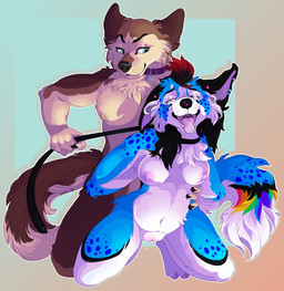 anthro collar duo female from_behind_position leash leash_pull male male/female piercing sex tail serialdad ag-wolf canid canine canis domestic_dog husky jackal mammal nordic_sled_dog spitz wolf hi_res