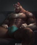 5_fingers 6suan anthro biceps bulge canid canine canis clothed clothing detailed_bulge erection fingers genital_outline kemono male mammal muscular nipples pecs penis_outline solo topless underwear wolf