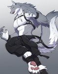 5_fingers abs anthro biceps bottomwear claws clothing fingers fur grey_body grey_fur male muscular muscular_anthro muscular_male pants pecs solo velk canid canine canis mammal wolf hi_res