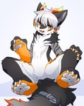 anthro choker featureless_crotch feet femboy foot_focus fur grey_body grey_ears hair horn jewelry kemono long_tail looking_at_viewer male necklace nude orange_body orange_eyes orange_foot orange_fur orange_horn pawpads paws sitting solo spread_legs spreading tail white_body white_fur white_hair devil-vox mythology kukki_(nekokukki) canid canine canis domestic_dog dragon husky hybrid mammal mythological_creature mythological_scalie nordic_sled_dog scalie spitz 2020 absurd_res digital_media_(artwork) hi_res