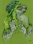 anthro beak feathers green_body green_feathers grin male red_eyes simple_background smile solo teeth cara_mitten avian bird parrot green_theme reaction_image