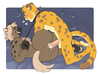 anal anal_penetration anthro anus balls bed bedroom blonde_hair blush bodily_fluids butt collar cum cum_in_ass cum_inside cum_on_butt dreadlocks duo furniture genital_fluids genitals hair leash leash_pull lube male male/male markings pawpads penetration penis power_bottom spots spotted_body sweat tattoo morgwyn dimitri_(hyena) canid cheetah felid feline hyena mammal spotted_hyena