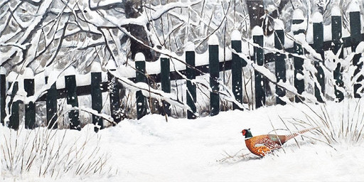brown_body brown_feathers feathers fence feral multicolored_body multicolored_feathers on_ground orange_body orange_feathers snow solo winter renum63 avian bird common_pheasant galliform phasianid pheasant 2014 acrylic_painting_(artwork) painting_(artwork) traditional_media_(artwork) traditional_painting_(artwork)