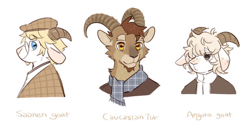 anthro black_clothing black_topwear blonde_hair blue_eyes blue_scarf brown_body brown_clothing brown_fur brown_hair brown_horn brown_topwear closed_smile clothed clothing front_view fur hair horizontal_pupils horn male mouth_closed orange_eyes pupils scarf short_hair side_view simple_background smile solo tan_hair topwear unsigned white_background white_body white_clothing white_fur white_topwear asnnonaka bovid caprine goat mammal 2:1 bust_portrait multiple_images portrait