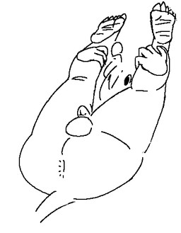 ambiguous_gender anthro anus balls genitals gynomorph holding_both_legs holding_leg imminent_sex intersex looking_through looking_through_legs penis perineum solo warprat pepperrat mammal murid murine rat rodent black_and_white monochrome