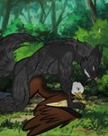 anthro aroused bodily_fluids duo forest genitals male male/male penis plant tears tree unknown_artist blizzard_entertainment warcraft adlerseven accipitrid accipitriform avian bald_eagle bird canid canine canis eagle mammal sea_eagle werecanid werecreature wolf worgen hi_res