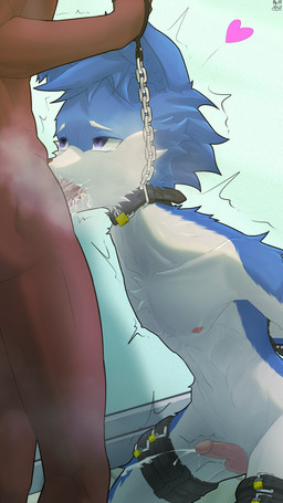 anthro balls bdsm blue_body bodily_fluids collar cuff_(restraint) duo ejaculation erection genitals hands_behind_back heart_symbol humanoid_genitalia humanoid_penis kemono kneeling leash leashed_collar male male/male navel oral oral_penetration penetration penis restraints shaking side_view slim small_balls tears young zyhatia canid canine canis mammal wolf 9:16 absurd_res hi_res signature