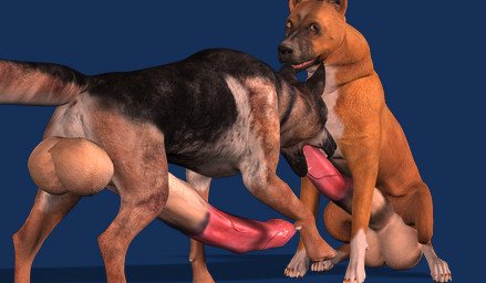 animal_genitalia animal_penis anus balls big_penis duo erection feline_genitalia feline_penis fellatio feral fur genitals huge_penis hyper hyper_genitalia hyper_penis male male/male nude oral penile penis realistic_feral sex simple_background tapiko canid canine mammal 3d_(artwork) alpha_channel digital_media_(artwork)