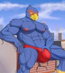 anthro beak blue_body building bulge city clothing detailed_bulge holding_bulge inside_clothing inside_underwear macro male micro_on_chest muscular muscular_male sitting speedo swimwear worship led_owo nintendo star_fox falco_lombardi avian bird absurd_res hi_res