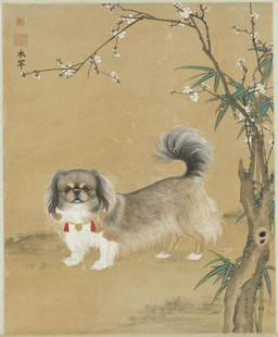 ambiguous_feral ambiguous_gender collar digitigrade feet feral floppy_ears flower fur grass leaf plant quadruped raised_tail simple_background solo standing tail text three-quarter_view toeless_(marking) tree whiskers shen_zhenlin canid canine canis domestic_dog mammal pekingese toy_dog 19th_century absurd_res ancient_art chinese_text hi_res painting_(artwork) traditional_media_(artwork) traditional_painting_(artwork)