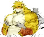 anthro biceps big_pecs blush bushy_hair duo embarrassed grope groping_from_behind hand_wraps male male/male muscular muscular_anthro muscular_male pec_grab pecs wraps tora_gy lifewonders tokyo_afterschool_summoners macan_(tas) felid mammal pantherine tiger