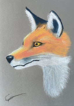 ears_up feral fur grey_background inner_ear_fluff looking_forward orange_body orange_fur simple_background solo tuft whiskers yellow_eyes localmare canid canine fox mammal pastel_(artwork) signature traditional_media_(artwork)